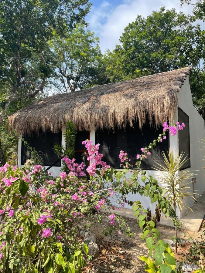 Maya Eco Village Akumal Exterior foto